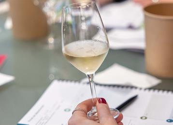 Comite-Champagne-Champagne-Specialist-1-©SCHIANO-DI-LOMBO-Sophie